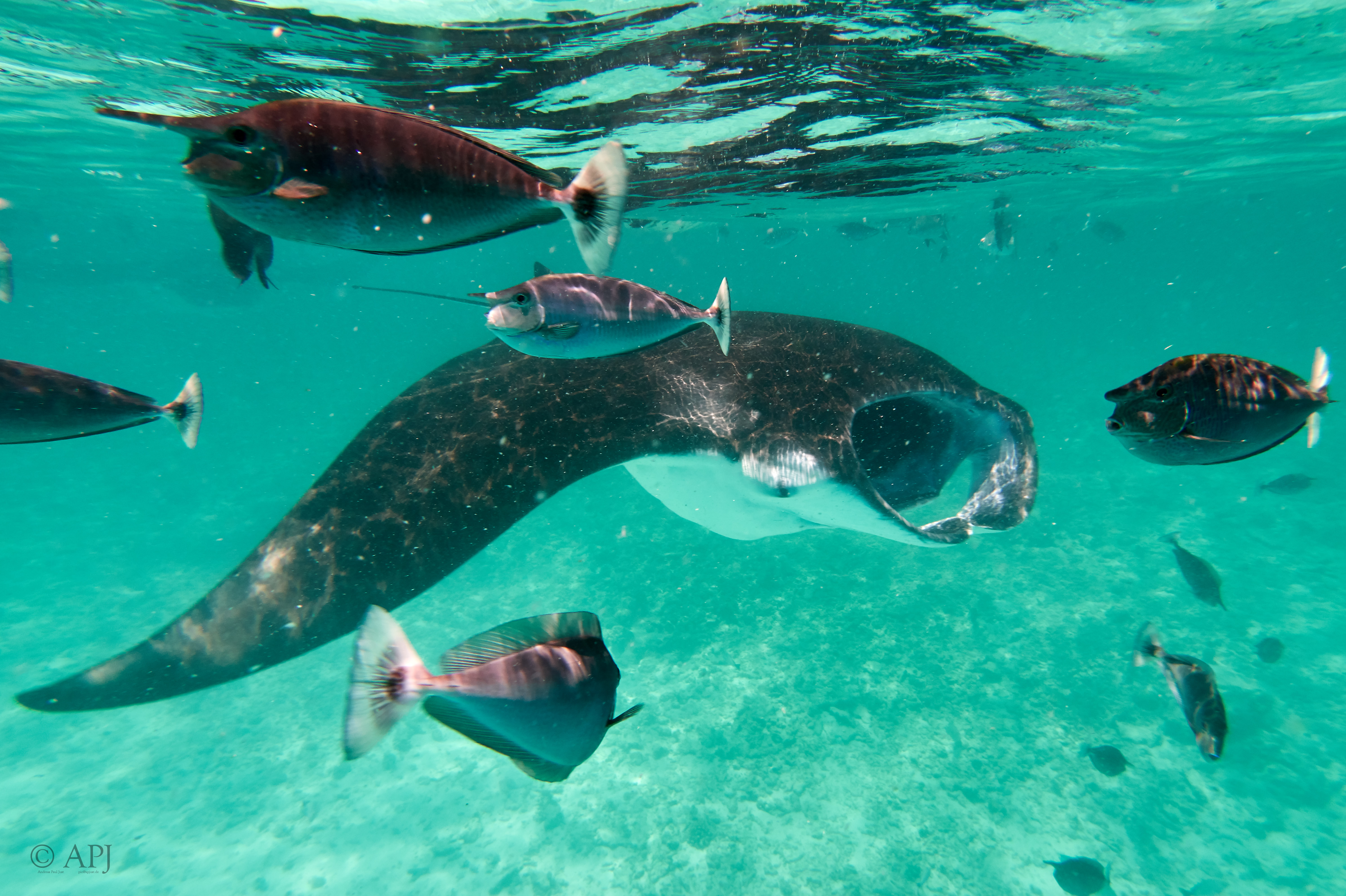 001802 16 08 17  Canon PowerShot G7 X Mark II   Malediven2017